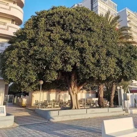 Paraiso Playa Primera Linea Апартаменти
