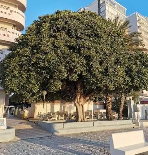 Paraiso Playa Primera Linea Apartment